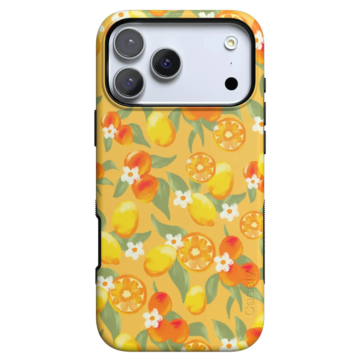 Positano | Dippin' Daisy's Italian Coast Case